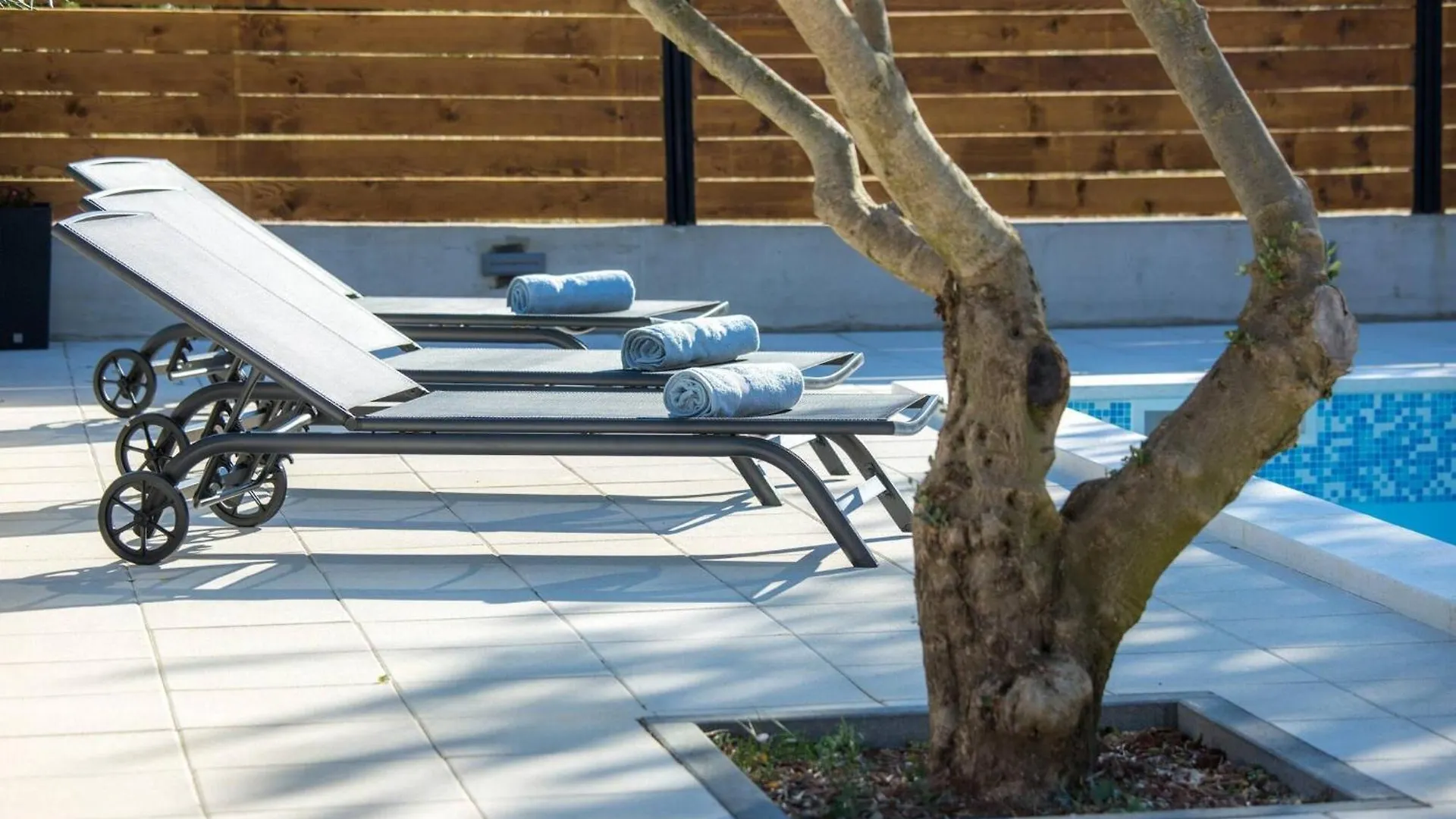 My Dalmatia - Holiday Home Relax With Private Pool Sveti Filip i Jakov